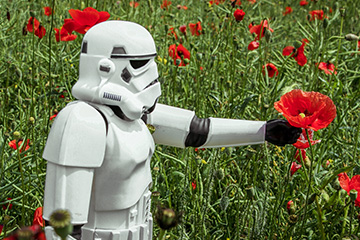 Stormtrooper holding a flower